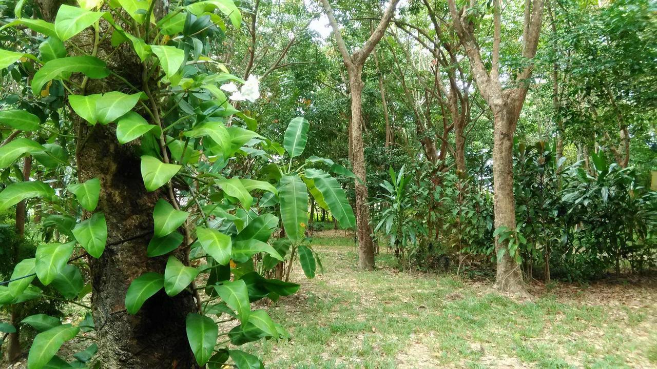 Dugong Koh Sukorn Hotel Ko Sukon Exterior foto